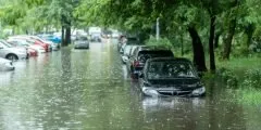 Vários carros parcialmente submersos em uma rua alagada após uma forte chuva, cercados por árvores e vegetação. A imagem representa a cobertura de danos da natureza do seguro auto Pattini, que protege o veículo contra enchentes, alagamentos, granizo, vendavais e outros fenômenos climáticos extremos.